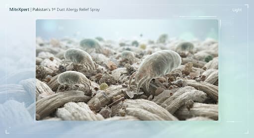Dust mites magnified in household fabric fibres