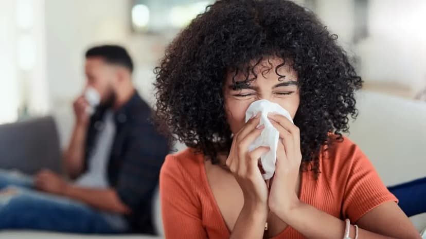 Allergy relief support: what regular use changes